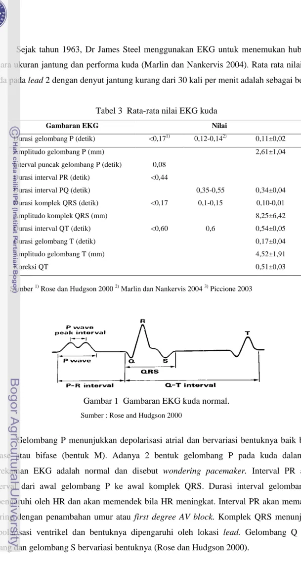 Tabel 3  Rata-rata nilai EKG kuda 