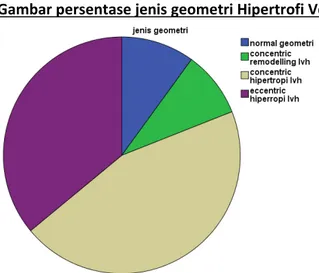 Gambar persentase jenis geometri Hipertrofi Ventrikel Kiri 