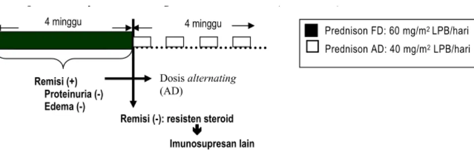Gambar 2.  Pengobatan inisial kortikosteroid
