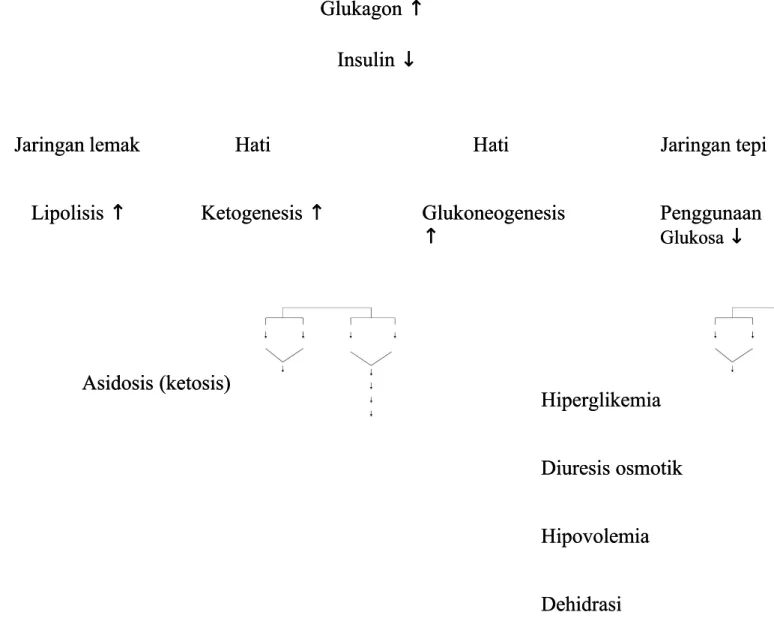 Gambar 1. Patofisiologi KetoasidosisGambar 1. Patofisiologi Ketoasidosis