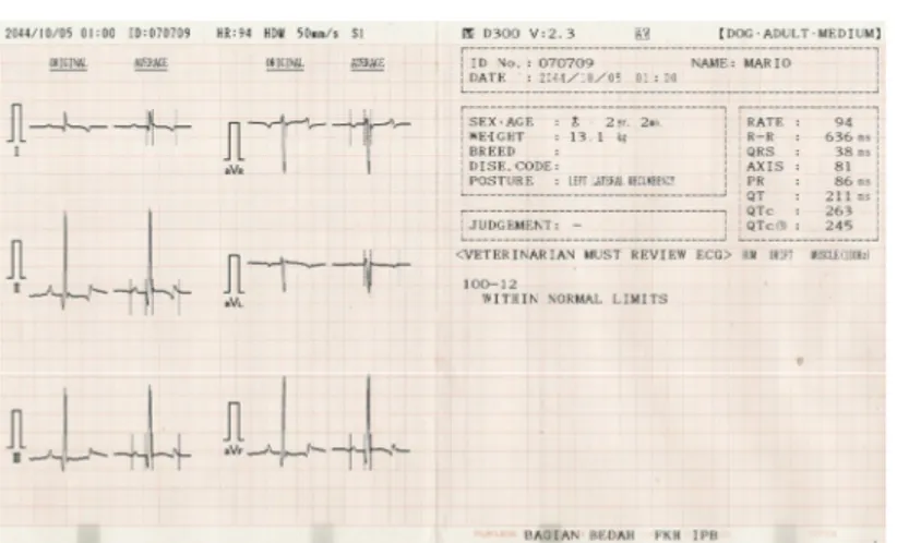 Gambar 11. Contoh hasil rekam jantung anjing yang normal.