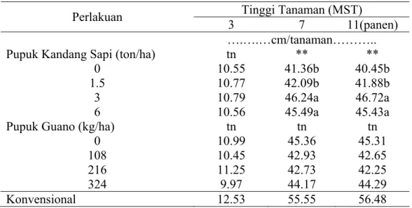 Tabel 4. menunjukkan perlakuan dosis pupuk kandang sapi secara tunggal  nyata meningkatkan tinggi tanaman pada 7 dan 11 MST (panen)