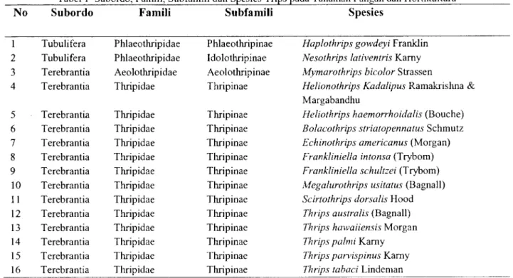 Tabel 1  Subordo, Famili,  Subfamili dan Spesies Trips pada Tanaman Pangan dan Hortikultura 