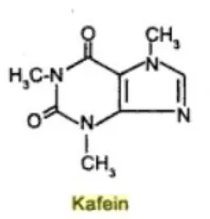 Gambar 2.2 Gambar Struktur Kimia Kafein