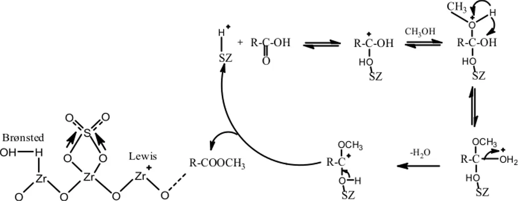 Gambar 5 Ilustrasi struktur zirkonia tersulfatasi (SZ) dan mekanisme reaksi esterifikasi dengan bantuan situs  asam Brønsted pada zirkonia tersulfatasi [12] 