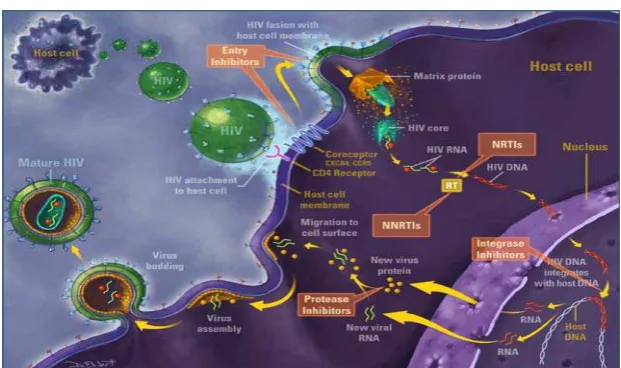 Tabel 2.4. Antigen Mayor HIV, Tipe-1 