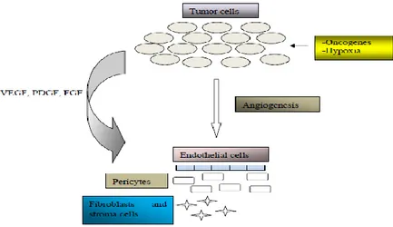Gambar  2.5.  Aktifasi  angiogenesis  oleh  faktor  pertumbuhan  dalam  lingkungan  mikro kanker (Gavalas, et al., 2013) 