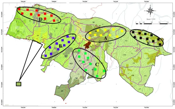 Gambar 1  Lokasi  pengambilan  sampel  kumbang  antena  panjang  di  Hutan  Pendidikan  Gunung  Walat;  hutan  pinus  (A),  hutan  puspa  (B),  hutan  Agathis (C), hutan campuran (D), dan hutan alami (E)