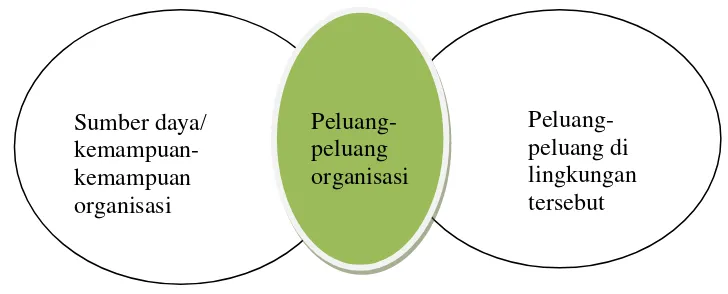 Gambar 2.1 Mengidentifikasi Peluang-peluang Organisasi 