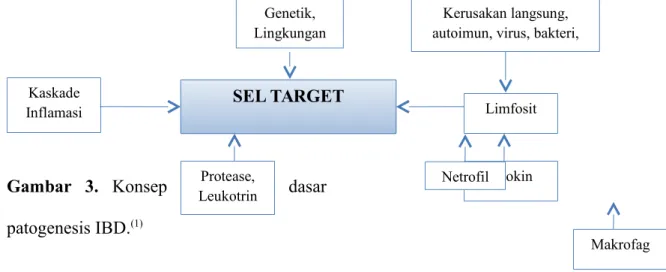 Gambar   3.  Konsep dasar patogenesis IBD. (1)