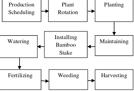 Figure 1. Producing Process of Tomato Beef byPartner Farmers