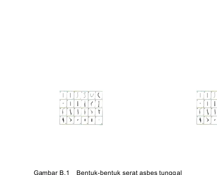 Gambar B.1  Bentuk-bentuk serat asbes tungg al