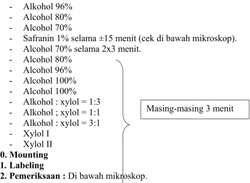 Tabel 1. Hasil Pembuatan Preparat Sayatan Organ Tumbuhan.
