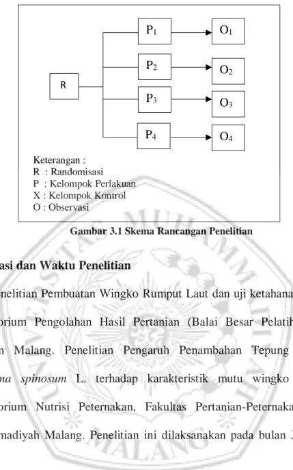 Gambar 3.1 Skema Rancangan Penelitian 