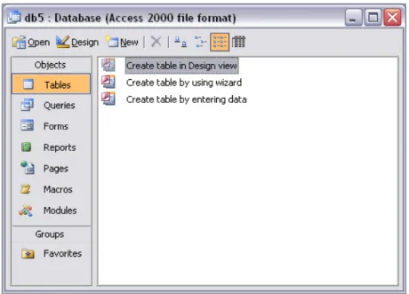 Gambar 12. Database Window
