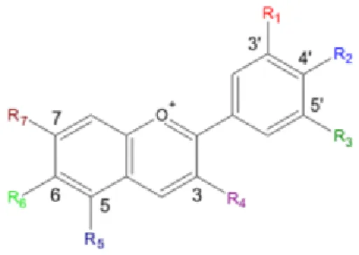 Gambar 2. Struktur Kimia Antosianin (Anon., 2013) 