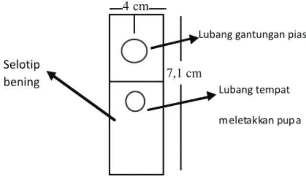 Gambar 1. Pias yang digunakan
