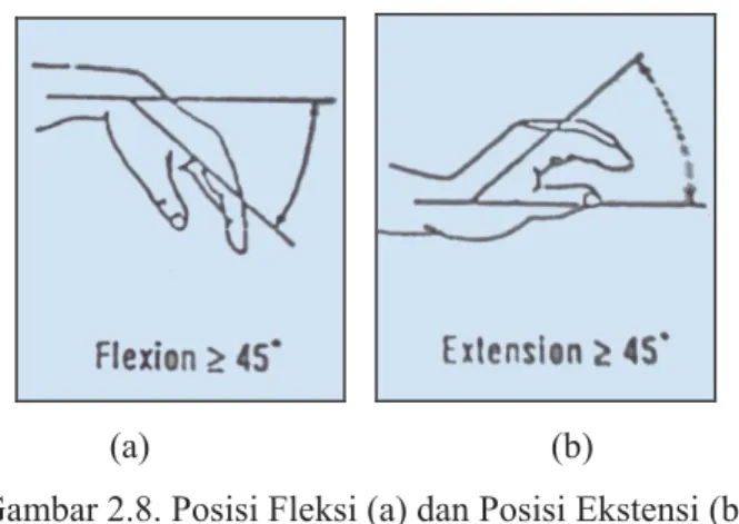 Gambar 2.8. Posisi Fleksi (a) dan Posisi Ekstensi (b)   Pada Pergelangan Tangan (Sumber: Humantech, 1995) 