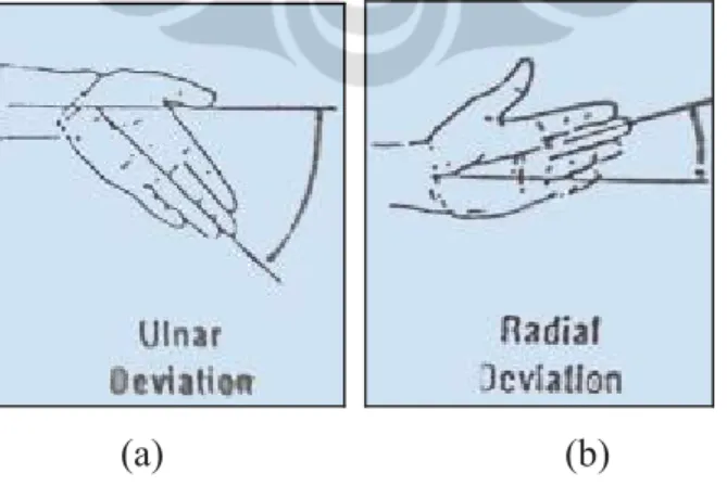 Gambar 2.4 Posisi Deviasi Ulnar (a) dan Posisi Deviasi Radial (b)   Pada Pergelangan Tangan (Sumber: Humantech, 1995) 
