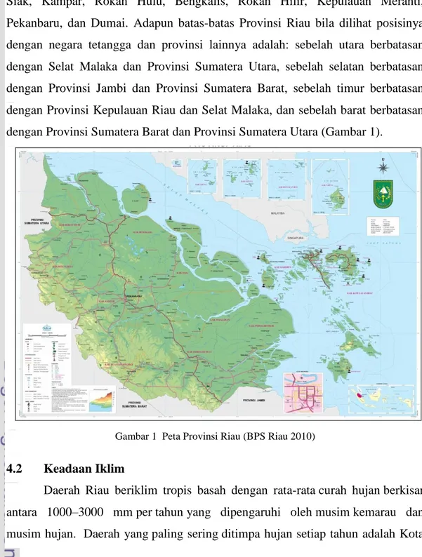 Gambar 1  Peta Provinsi Riau (BPS Riau 2010)