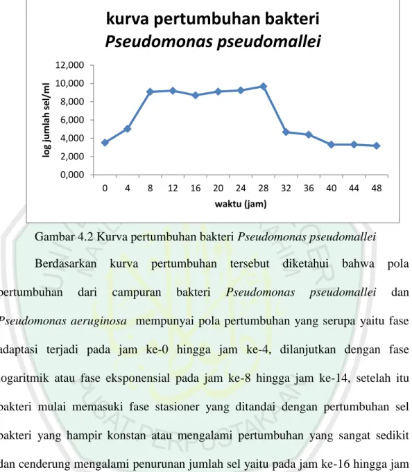 Gambar 4.2 Kurva pertumbuhan bakteri Pseudomonas pseudomallei  Berdasarkan  kurva  pertumbuhan  tersebut  diketahui  bahwa  pola  pertumbuhan  dari  campuran  bakteri  Pseudomonas  pseudomallei  dan  Pseudomonas  aeruginosa    mempunyai  pola  pertumbuhan 