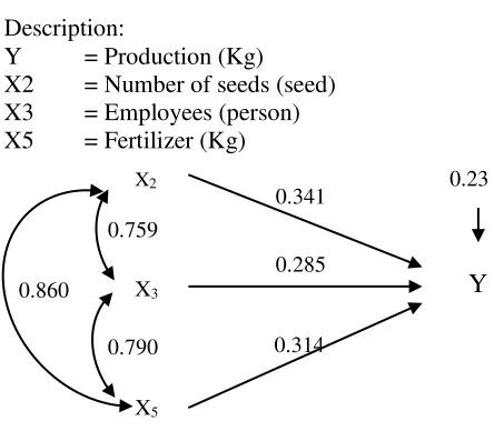 Figure 2. X2, X3, X5 towards Y Path Diagram 