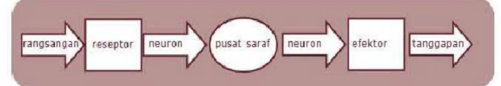 Gambar 1. mekanisme rangsangan