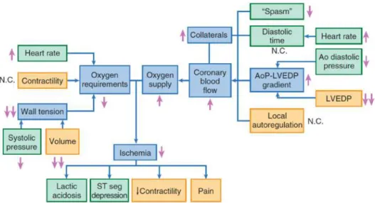Gambar  2.2.  Faktor-faktor  yang  mempengaruhi  keseimbangan  antara  kebutuhan  (kiri)  dan  suplai  (kanan)  oksigen