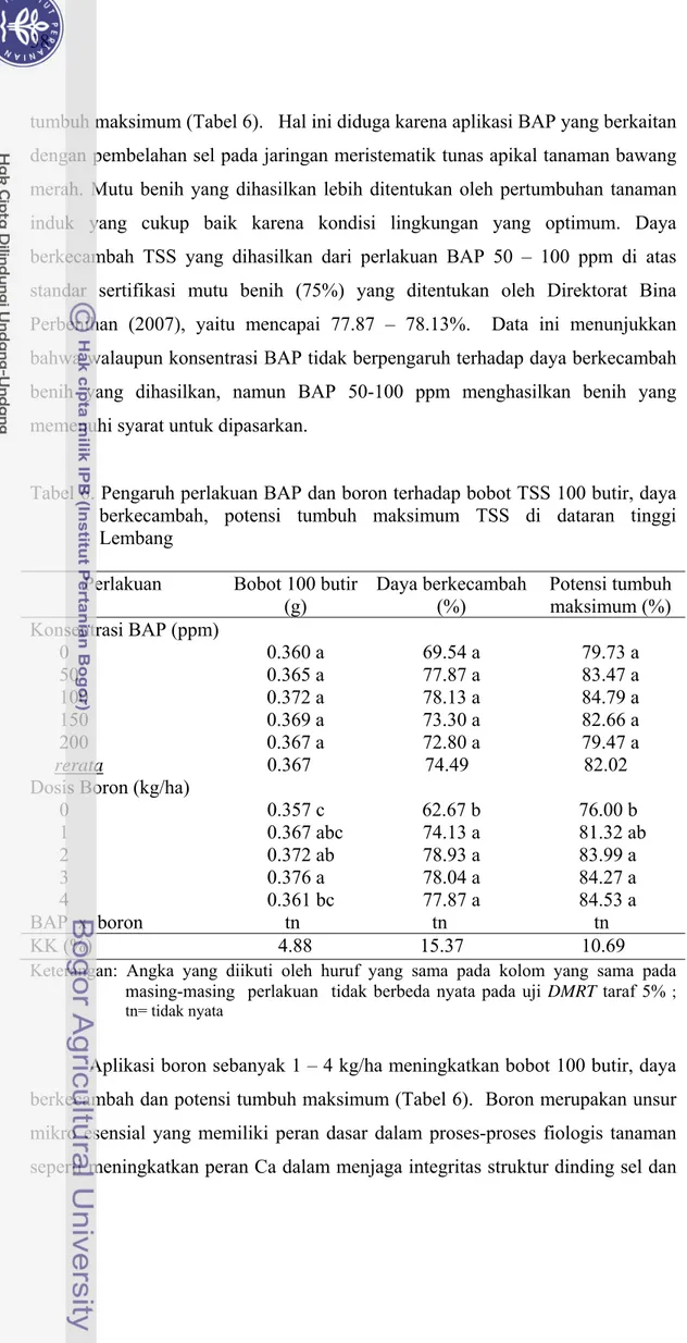 Tabel 6. Pengaruh perlakuan BAP dan boron terhadap bobot TSS 100 butir, daya  berkecambah, potensi tumbuh maksimum TSS di dataran tinggi  Lembang 