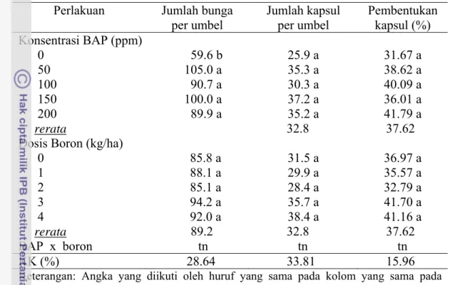 Tabel 8. Pengaruh perlakuan BAP dan boron terhadap jumlah bunga per umbel,  jumlah kapsul per umbel dan persentase pembentukan kapsul bawang  merah di dataran rendah Subang 