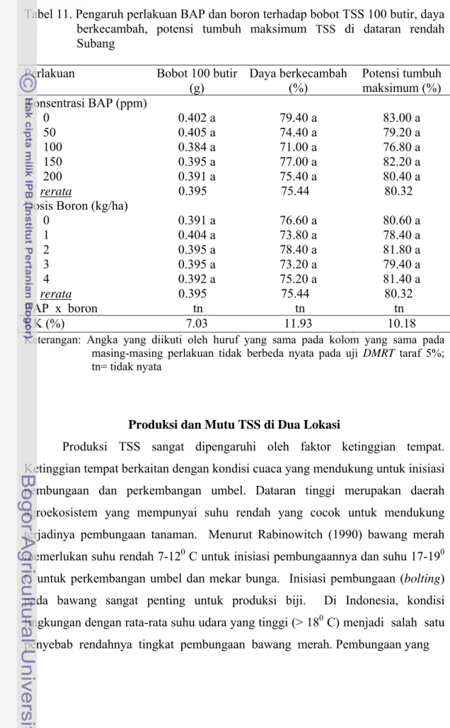 Tabel 11. Pengaruh perlakuan BAP dan boron terhadap bobot TSS 100 butir, daya  berkecambah, potensi tumbuh maksimum  TSS  di dataran rendah  Subang 