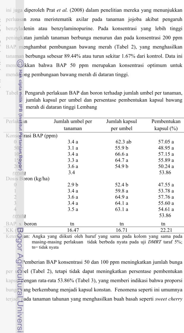 Tabel 3. Pengaruh perlakuan BAP dan boron terhadap jumlah umbel per tanaman,  jumlah kapsul per umbel dan persentase pembentukan kapsul bawang  merah di dataran tinggi Lembang 