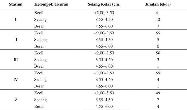 Tabel 2. Sebaran kelompok ukuran kerang pokea 