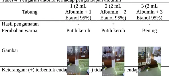 Tabel 4  Pengaruh alkohol terhadap pengendapan albumin Tabung 1 (2 mL Albumin + 1 Etanol 95%) 2 (2 mL Albumin + 2Etanol 95%) 3 (2 mL Albumin + 3Etanol 95%) Hasil pengamatan  - + 