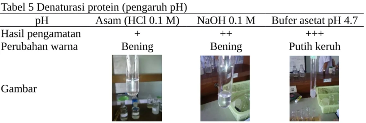 Tabel 5 Denaturasi protein (pengaruh pH)