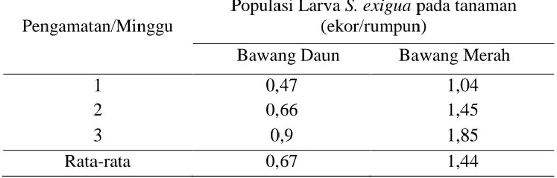 Tabel 1.   Rata-rata Populasi Larva S. exigua Pada Tanaman Bawang Daun  dan          Bawang Merah di Desa Ampreng Kecamatan Langowan Barat 