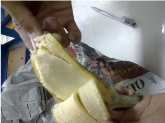Gambar buah pisang dan kedondong dengan perlakuan pemberian etilen yang berbeda 