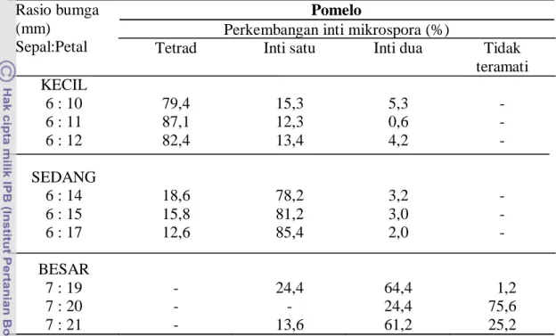 Tabel 2. Persentase perkembangan inti mikrospora jeruk Pamelo pada fase tetrad,  inti satu, inti dua, dan tidak teramati 