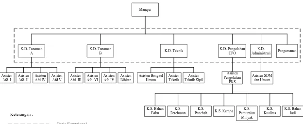 Gambar 2.1. Struktur Organisasi PT Perkebunan Nusantara IV Unit Kebun Pabatu 