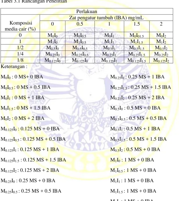 Tabel 3.1 Rancangan Penelitian  