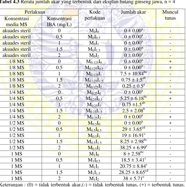 Tabel 4.3 Rerata jumlah akar yang terbentuk dari eksplan batang ginseng jawa, n = 4   