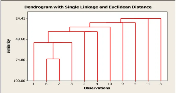 Gambar 3.  Dendogram kekerabatan antar kultivar pamelo 