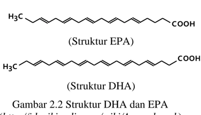 Gambar 2.2 Struktur DHA dan EPA 