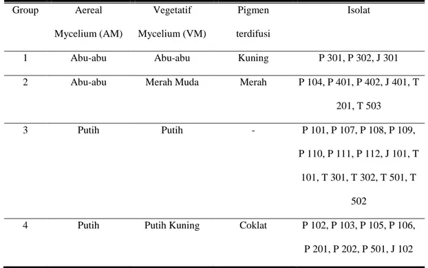 Tabel 2. Hasil Klasifikasi dengan Colour Grouping pada Media Yeast Extract Glucose Agar 