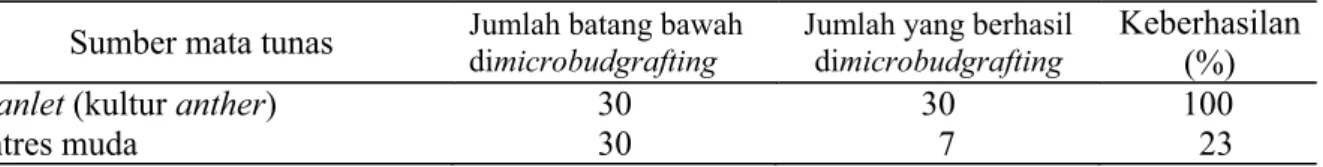 Tabel 3. Pengaruh sumber mata tunas terhadap keberhasilan microbudgrafting 