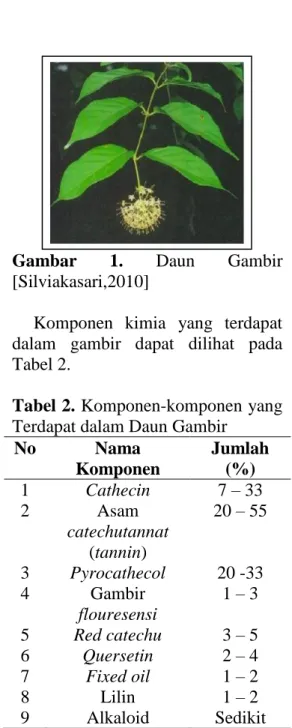 Gambar  1.  Daun  Gambir  [Silviakasari,2010] 