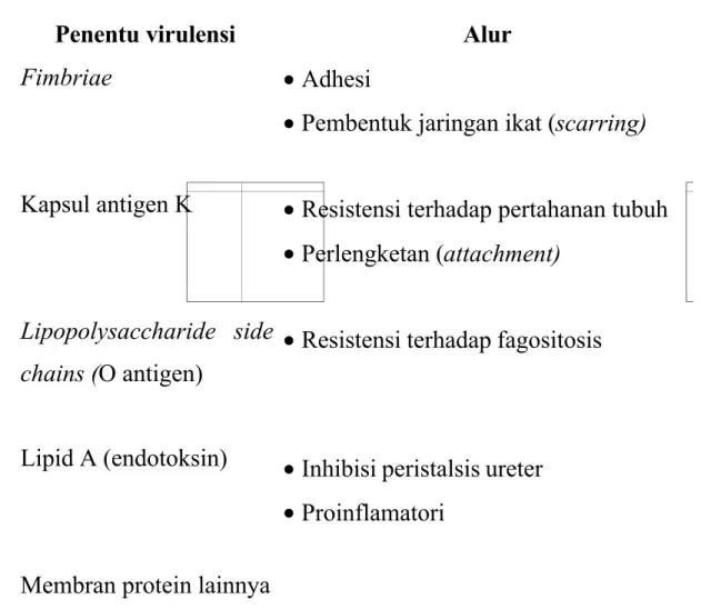 Tabel 3. Faktor virulensi E . coli 