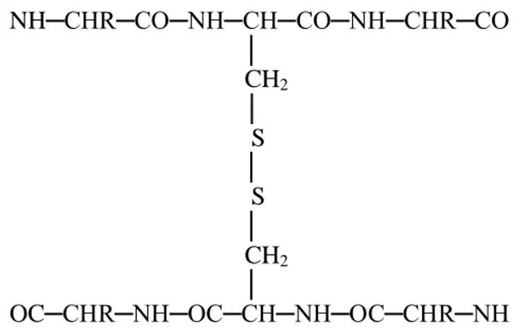 Gambar 1. Struktur kimia keratin 