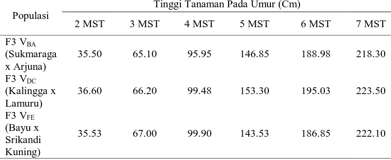 Tabel 1. Rataan tinggi tanaman 2 s/d 7 MST dari beberapa genotip (cm)  