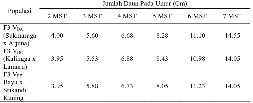 Tabel 2. Rataan jumlah daun  2 s/d 7 MST dari beberapa genotip (helai) 